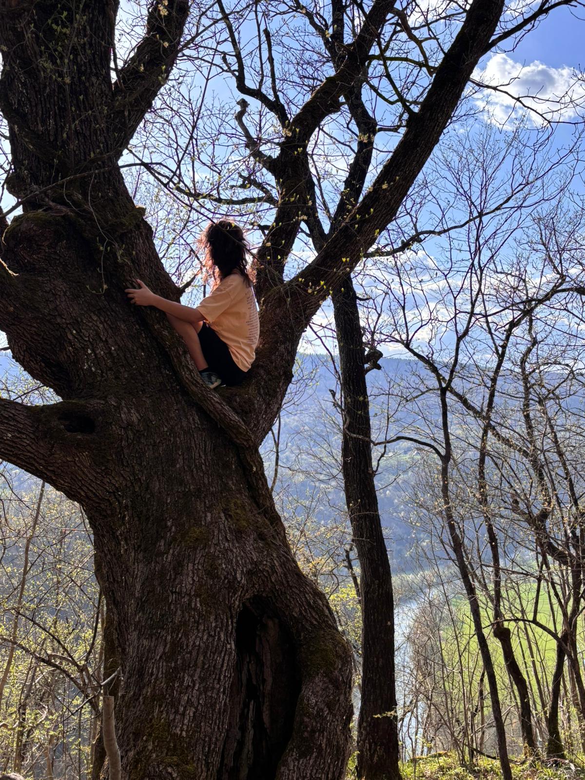 WhatsApp Image 2025 08 19 At 15.43.22 853438b5