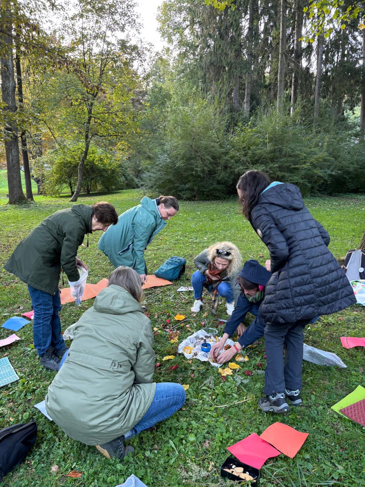 whatsapp image 2025 10 27 at 10.05.52 4847ac5e