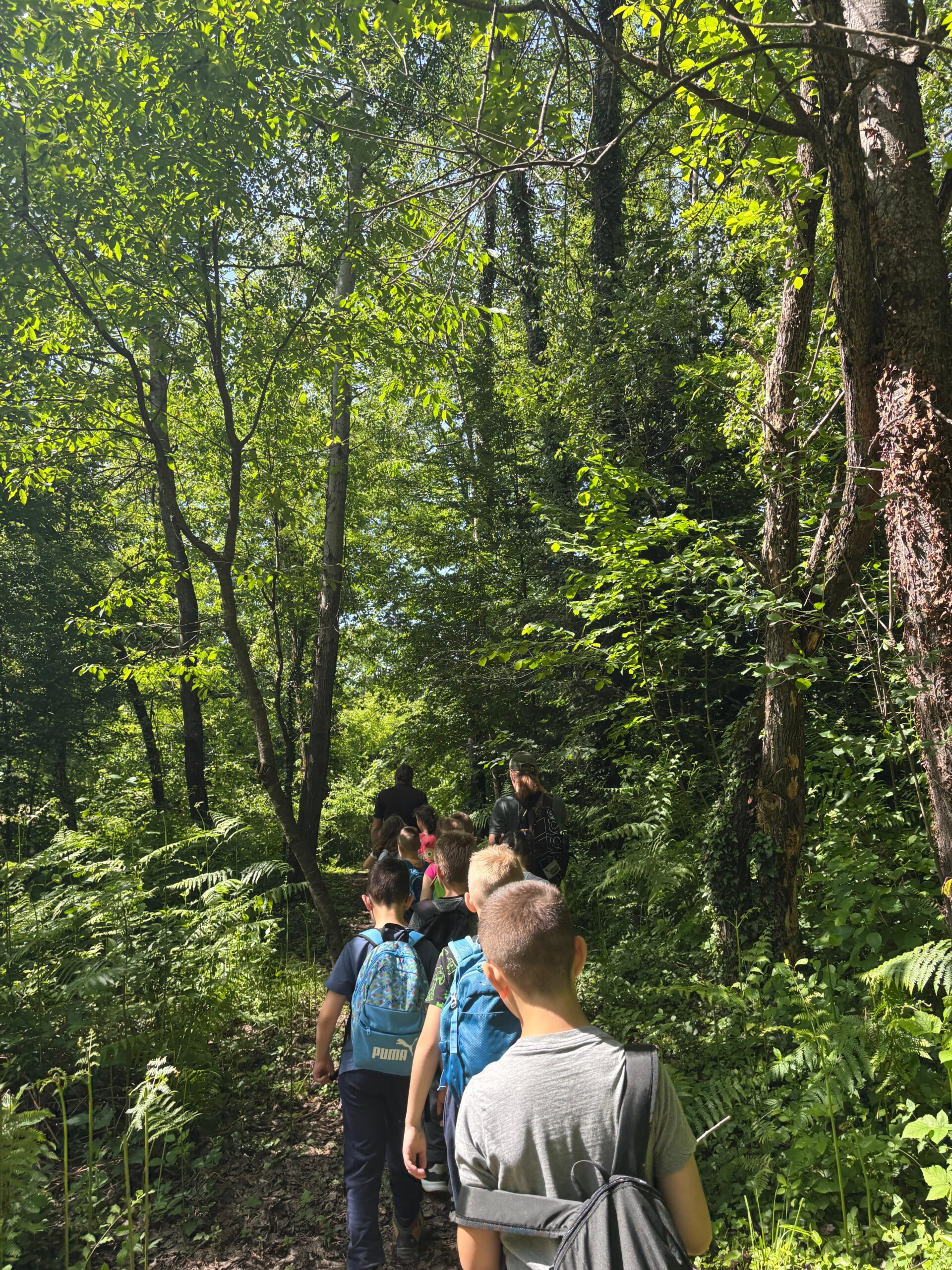 whatsapp image 2025 10 27 at 10.08.16 97c4c5d8