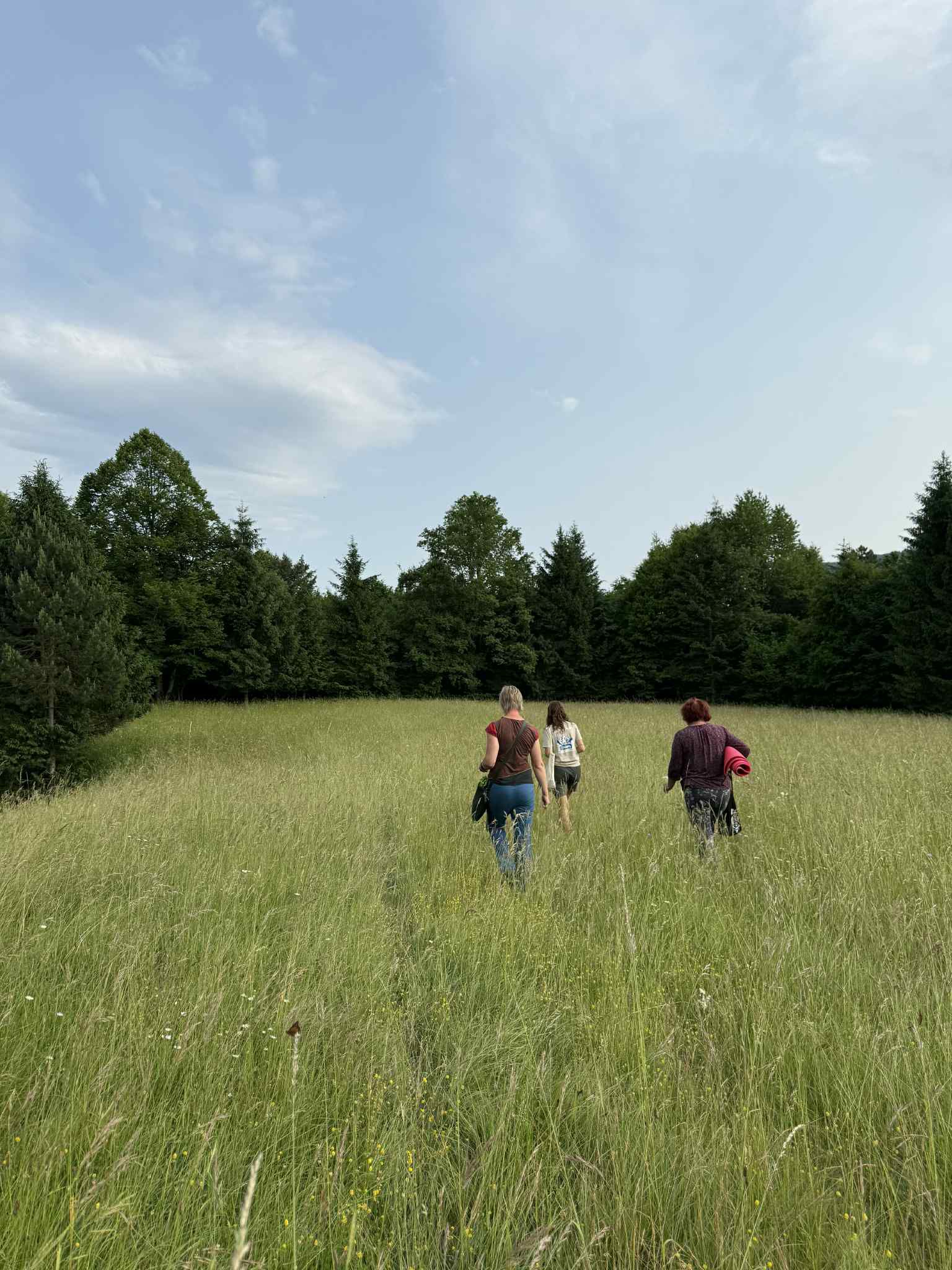 whatsapp image 2025 10 27 at 10.10.21 c24e915f