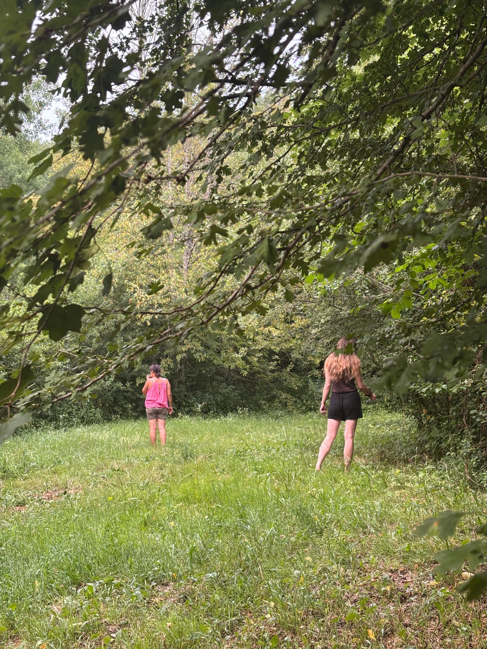 whatsapp image 2025 10 27 at 10.14.51 bc907385