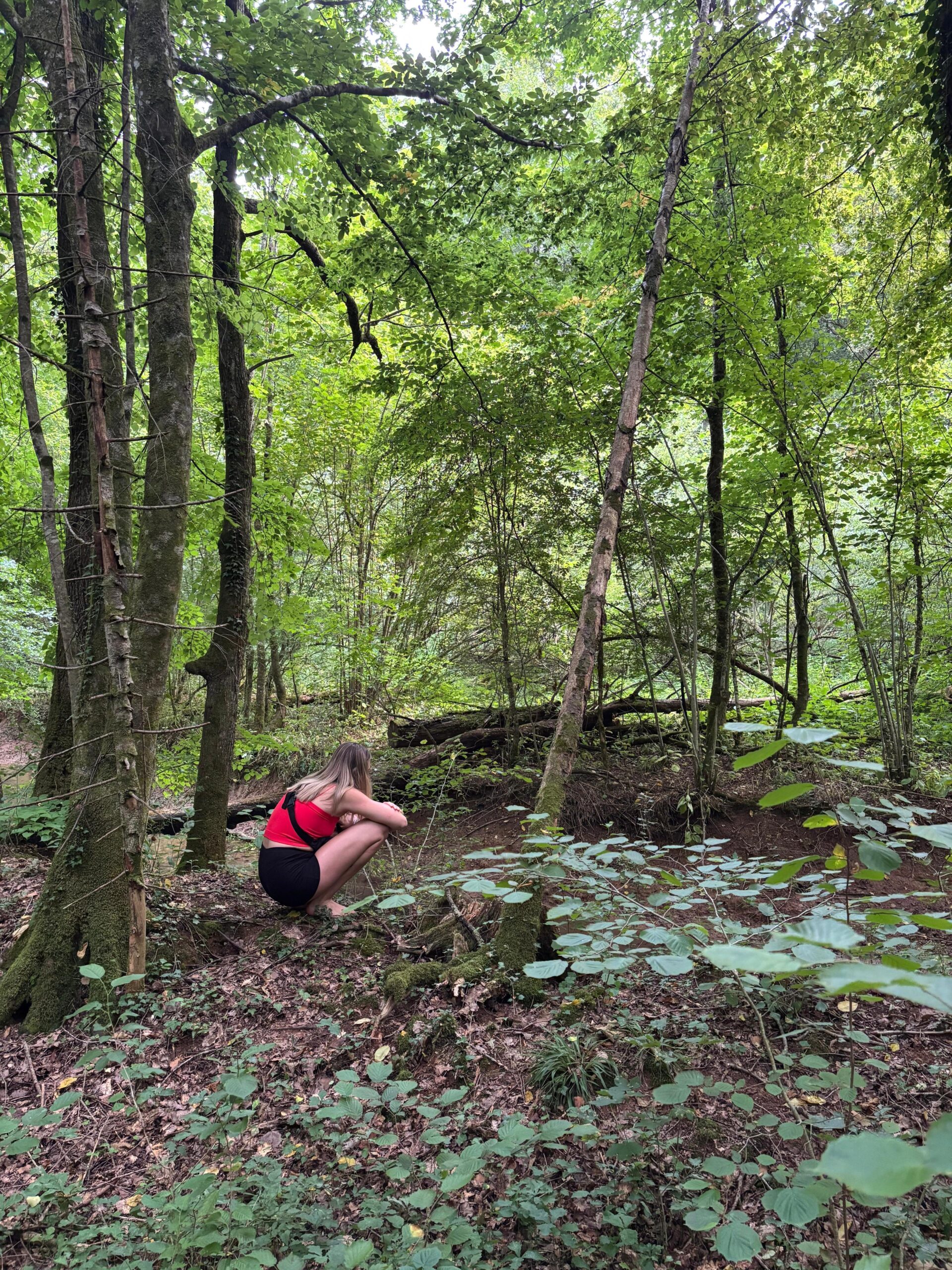 whatsapp image 2025 10 27 at 10.24.38 2cbbef30